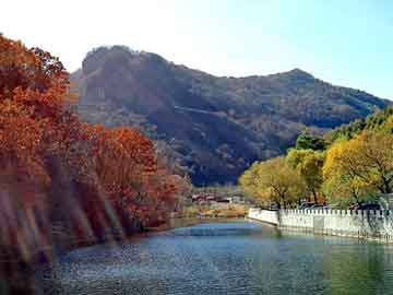 新澳天天开奖资料大全旅游团，油管吊卡